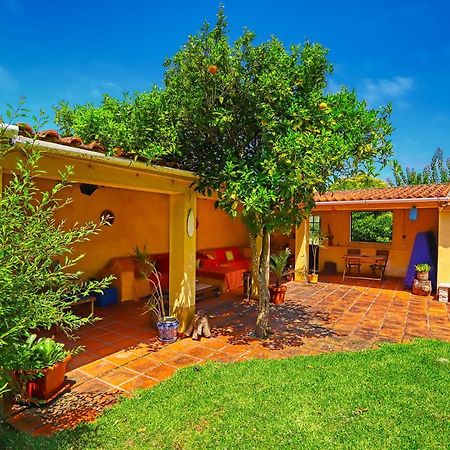 Lugar Saloio Sintra Bed & Breakfast Mem Martins Exterior foto