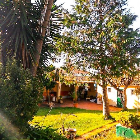 Lugar Saloio Sintra Bed & Breakfast Mem Martins Exterior foto